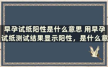 早孕试纸阳性是什么意思 用早孕试纸测试结果显示阳性，是什么意思呢